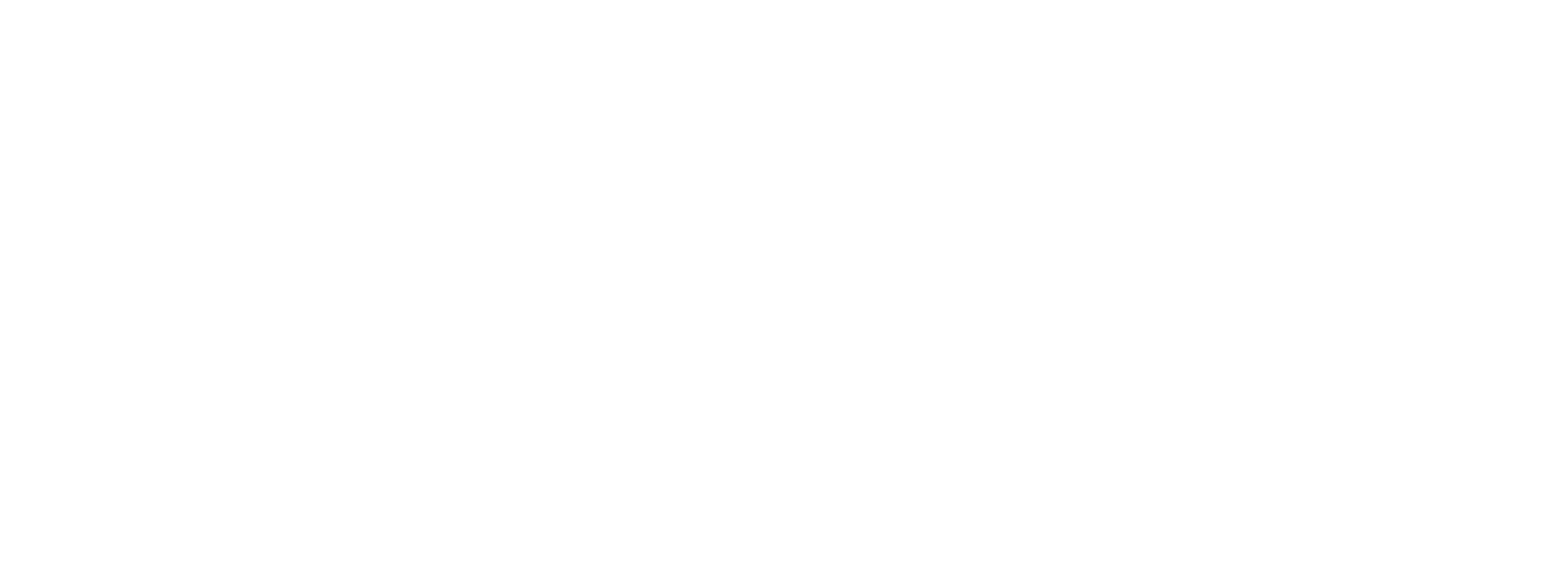 Vibrant-Logo-(White)